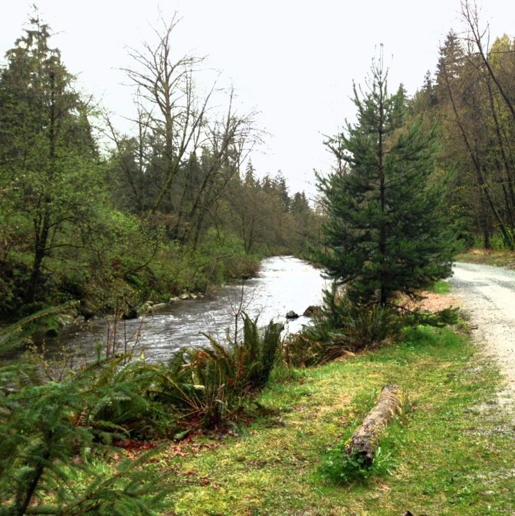 Stoney Creek + Brunette River – Let's Go Biking!